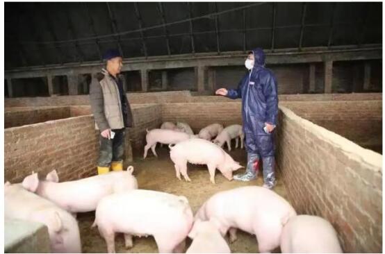 數(shù)字人民幣應用保險+期貨.jpg